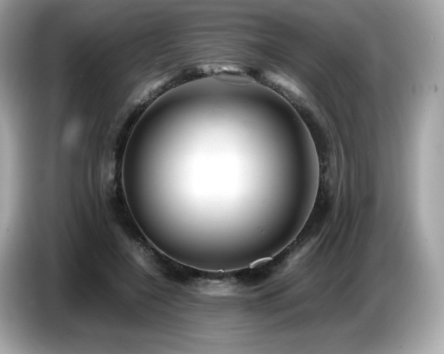 X0000087050548200704181239