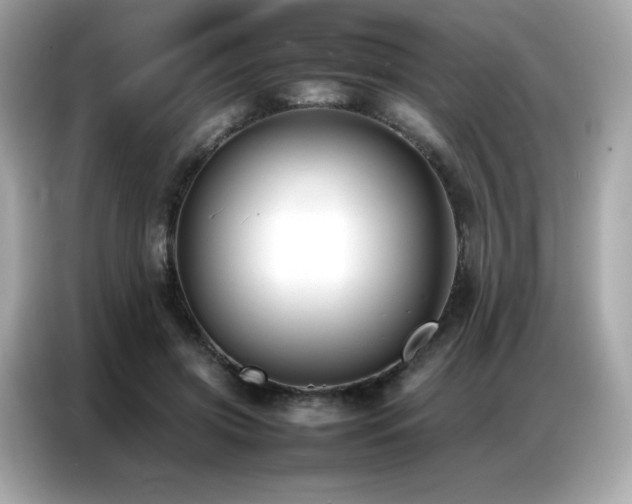 X0000087050549200704181239