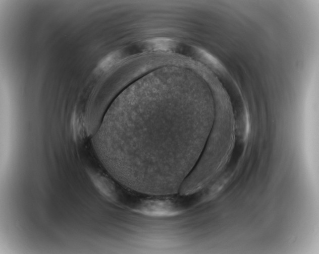 X0000087050552200704181239