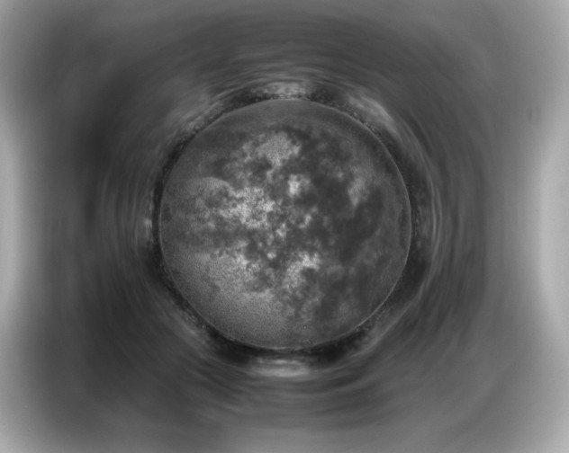 X0000087050553200704181239