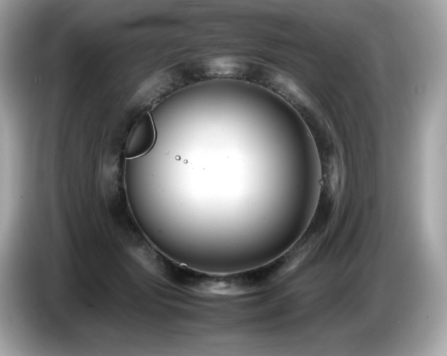 X0000087050557200704181239