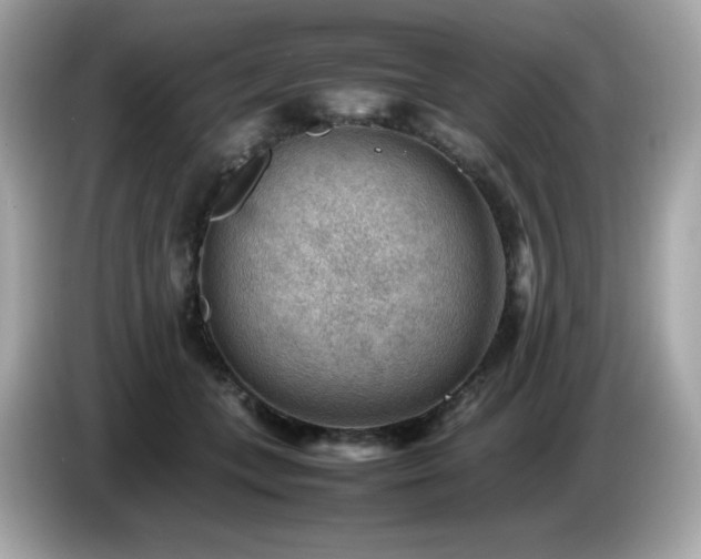 X0000087050559200704181239