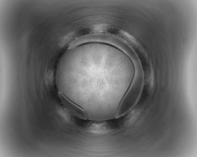 X0000087050560200704181239
