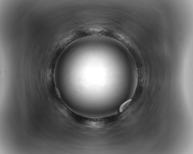 X0000087050563200704181239