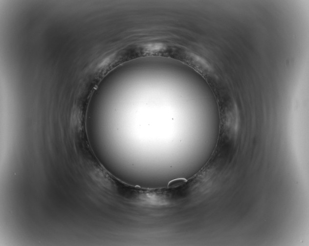 X0000087050565200704181239