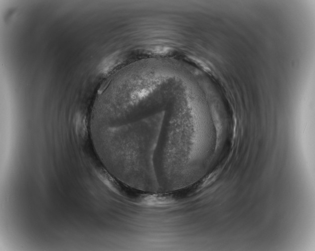 X0000087050568200704181239