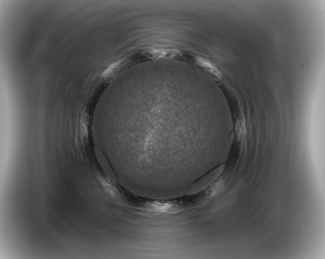 X0000087050570200704181239