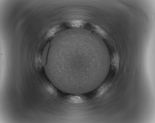 X0000087050572200704181239