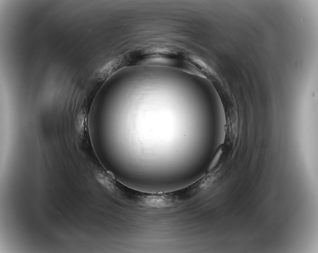 X0000087050574200704181239