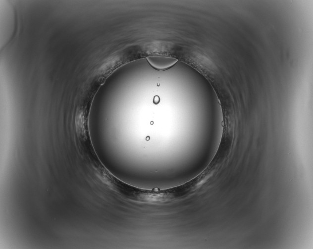 X0000087050575200704181239