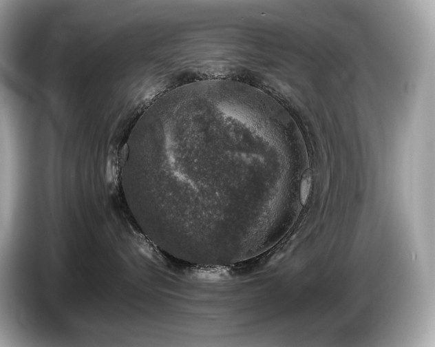 X0000087050576200704181239