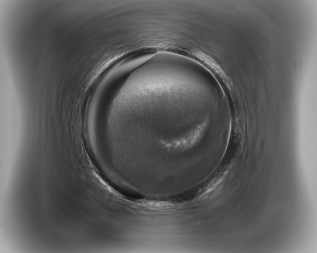 X0000087050577200704181239