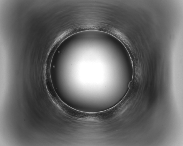 X0000087050578200704181239