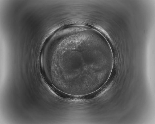 X0000087050581200704181239
