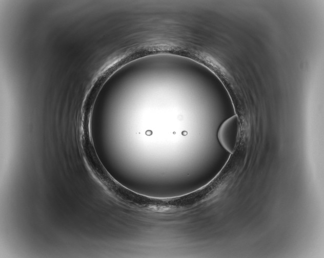 X0000087050582200704181239