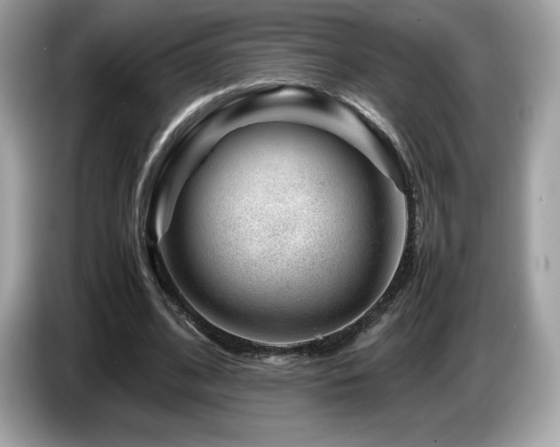 X0000087050584200704181239