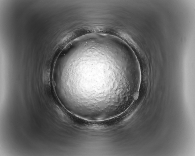 X0000087050585200704181239