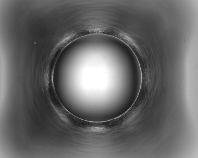 X0000087050586200704181239