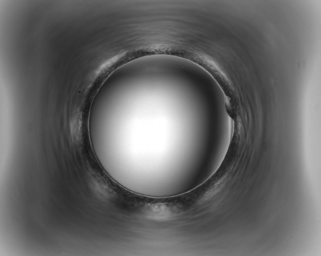 X0000087050588200704181239