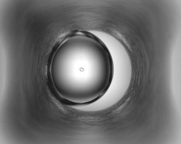 X0000087050589200704181239