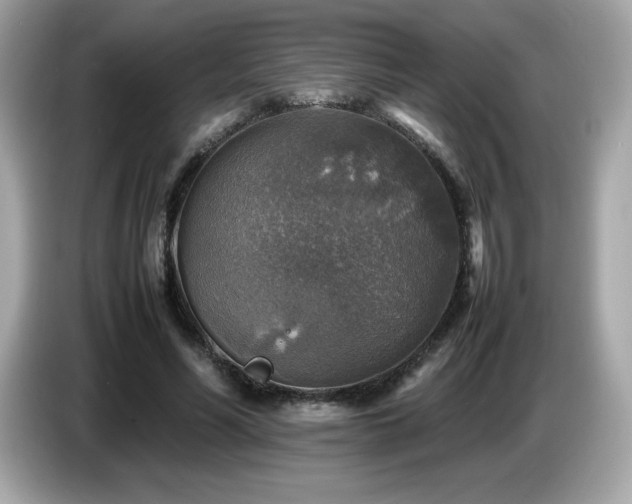X0000087050590200704181239