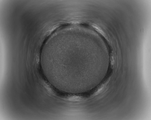 X0000087050593200704181239