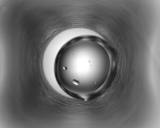 X0000087050595200704181238