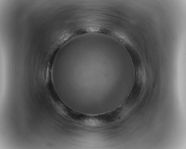 X0000087050598200704181238