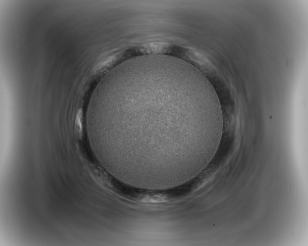 X0000087050599200704181238