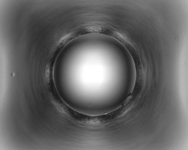 X0000087050600200704181238