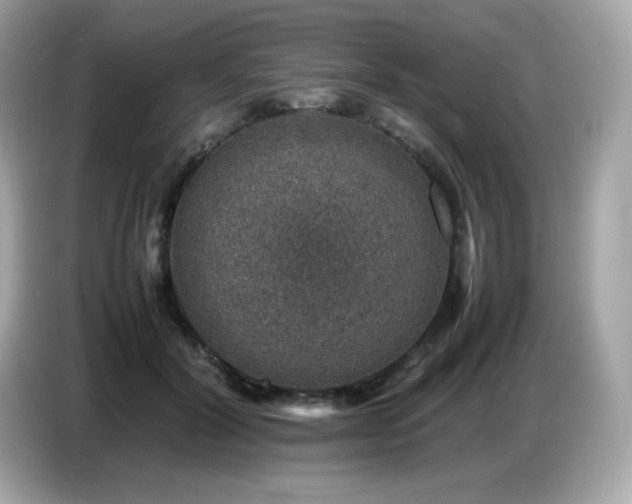 X0000087050604200704181238