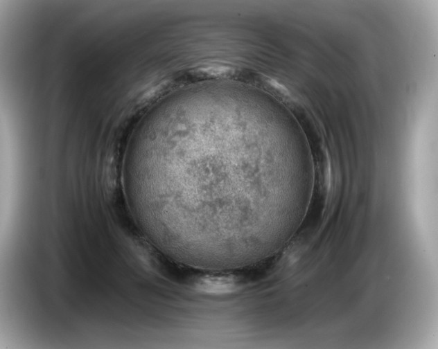 X0000087050606200704181238