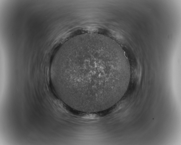 X0000087050609200704181238