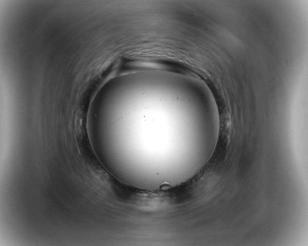 X0000087050615200704181238