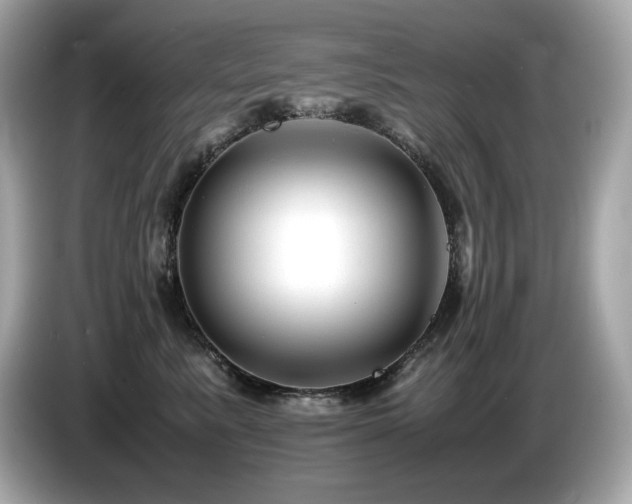 X0000087050619200704181238