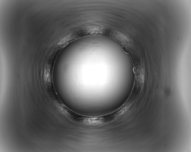 X0000087050622200704181238
