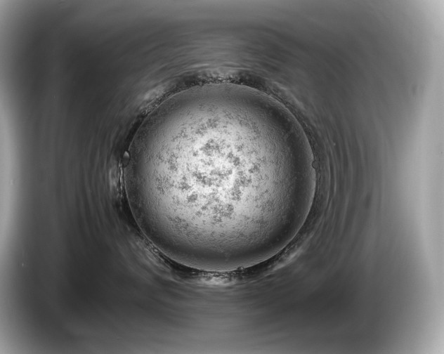 X0000087050624200704181238