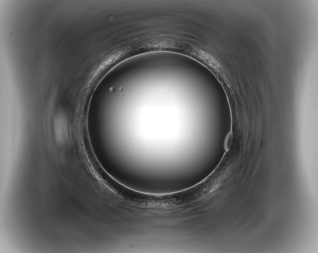 X0000087050625200704181237