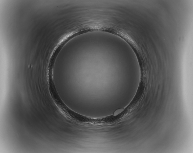 X0000087050626200704181237