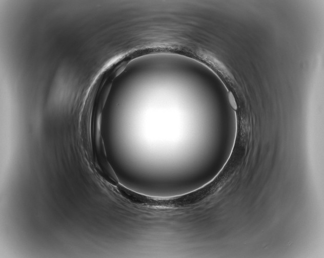 X0000087050628200704181237
