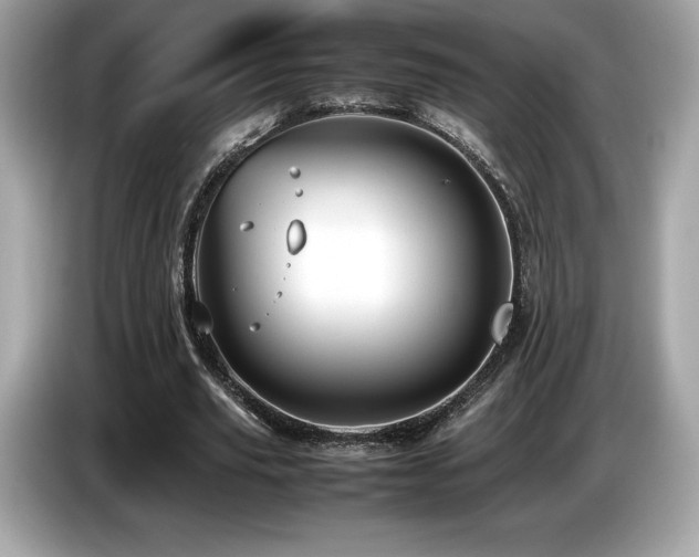 X0000087050629200704181237