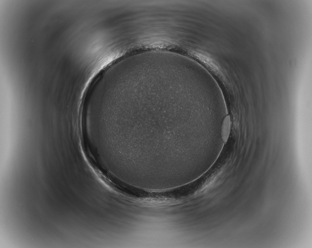 X0000087050630200704181237