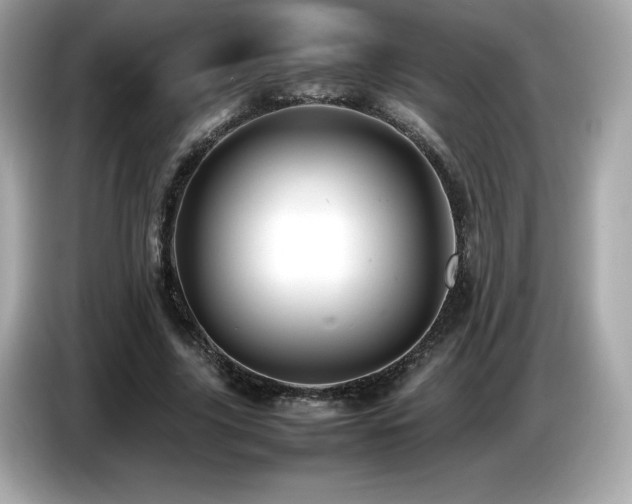X0000087050635200704181238