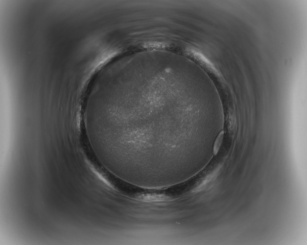 X0000087050637200704181238