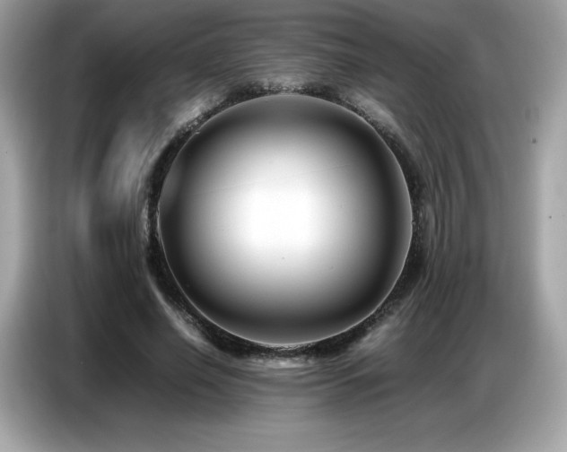 X0000087050638200704181238
