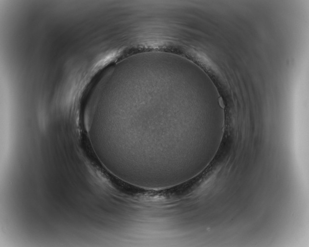 X0000087050640200704181238