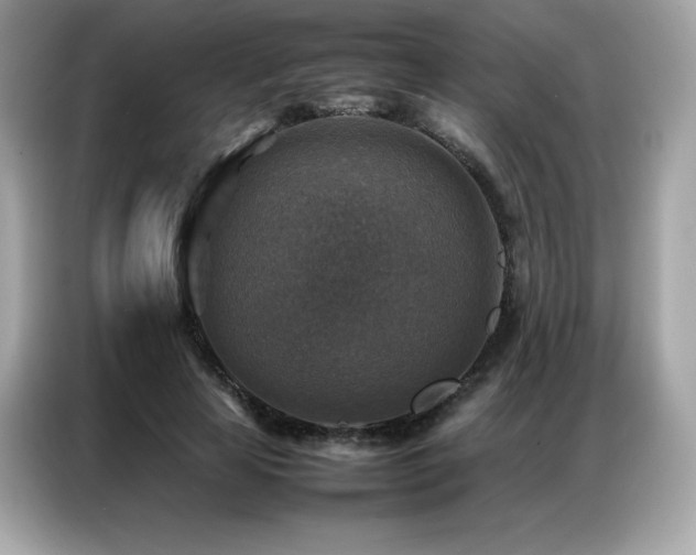 X0000087050641200704181238