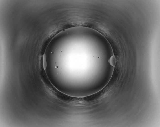X0000087050642200704181238