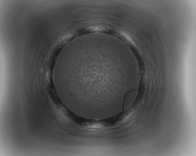X0000087050643200704181238