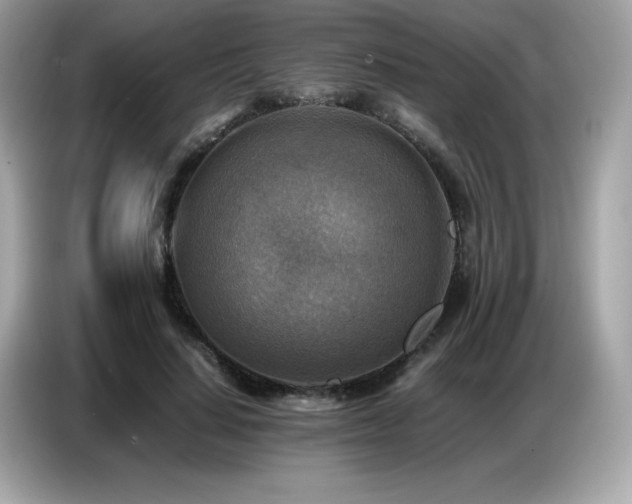 X0000087050644200704181238